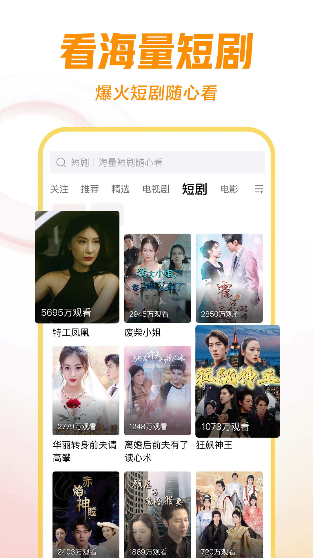 伴侣狗是什么意思网络用语截图